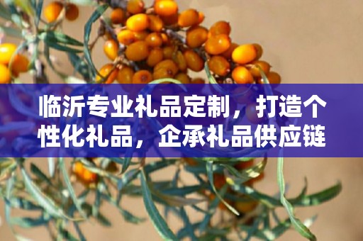 临沂专业礼品定制，打造个性化礼品，企承礼品供应链助力商务之选